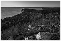 Coast and woods from Gorham Mountain. Acadia National Park ( black and white)