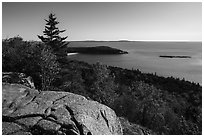 Outcrop, Sand Beach and trees from Gorham Mountain. Acadia National Park ( black and white)