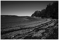 Beach around Bar Harbor Island at low tide. Acadia National Park ( black and white)