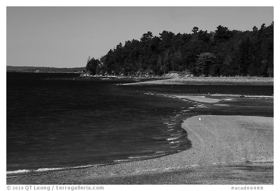 Gravel bar to Bar Harbor Island being submerged by rising tide. Acadia National Park (black and white)