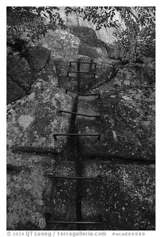 Iron rungs, Precipice Trail. Acadia National Park (black and white)