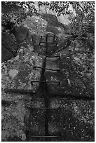 Iron rungs, Precipice Trail. Acadia National Park ( black and white)