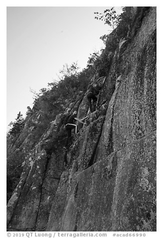 Hikers on vertical section of Precipice Trail. Acadia National Park (black and white)