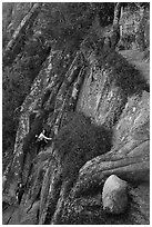 Hikers scaling cliff with iron rungs. Acadia National Park ( black and white)