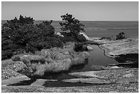 Rain-filled potholes and Ocean from Champlain Mountain. Acadia National Park ( black and white)