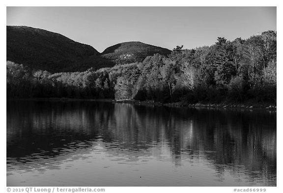 Trees in autumn foliage reflected in pond, Otter Creek. Acadia National Park (black and white)