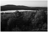 Trees and Eagle Lake, sunset. Acadia National Park ( black and white)