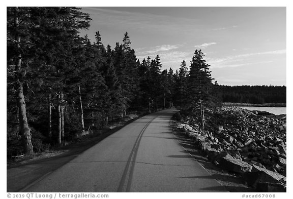 Road, Schoodic Peninsula. Acadia National Park (black and white)