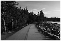 Road, Schoodic Peninsula. Acadia National Park ( black and white)