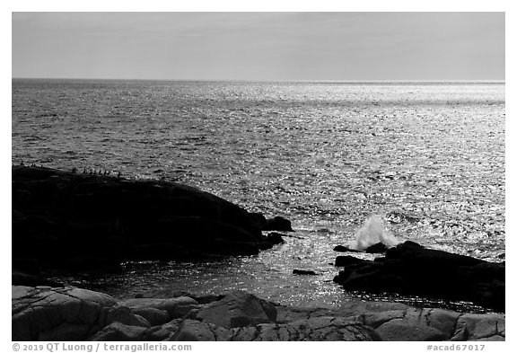 Shimmering ocean from Little Moose Island. Acadia National Park (black and white)
