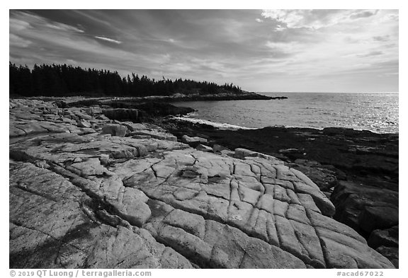Granite slabs, Little Moose Island. Acadia National Park (black and white)