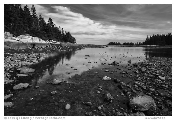East Pond, low tide. Acadia National Park (black and white)