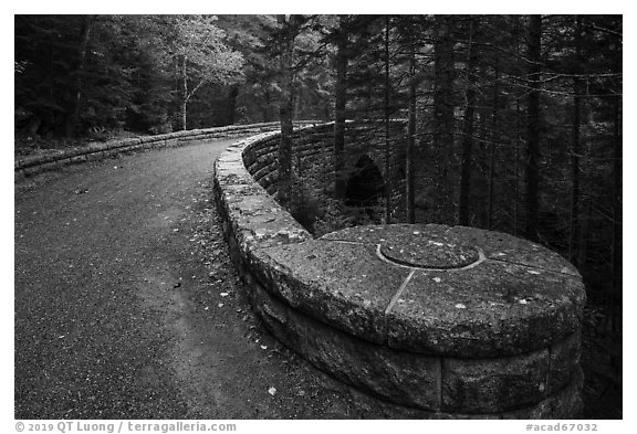 Carriage road over Hemlock Bridge. Acadia National Park (black and white)