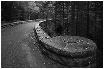 Carriage road over Hemlock Bridge. Acadia National Park ( black and white)