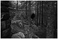 Forest and Hemlock Bridge. Acadia National Park ( black and white)