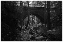 Hemlock Bridge over Maple Spring Brook. Acadia National Park ( black and white)