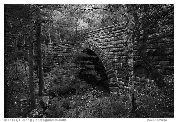 Hemlock Bridge. Acadia National Park (black and white)