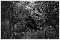 Hemlock Bridge. Acadia National Park ( black and white)