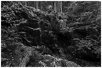 Hadlock Falls in autumn. Acadia National Park ( black and white)