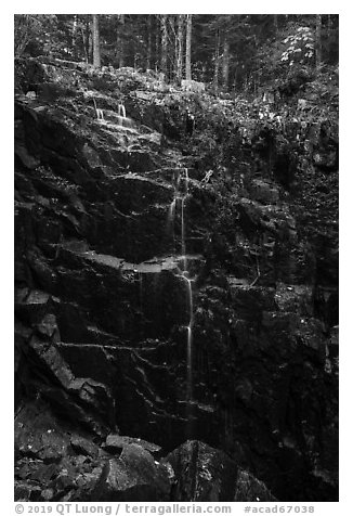 Hadlock Falls. Acadia National Park (black and white)