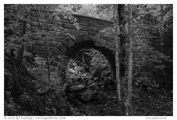 Waterfall Bridge framing Hadlock Falls. Acadia National Park (black and white)