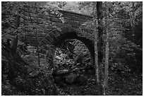 Waterfall Bridge framing Hadlock Falls. Acadia National Park ( black and white)