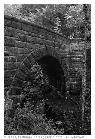 Waterfall Bridge. Acadia National Park (black and white)