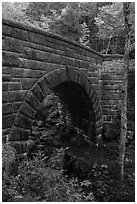 Waterfall Bridge. Acadia National Park ( black and white)