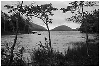 Eagle Lake on cloudy day. Acadia National Park ( black and white)