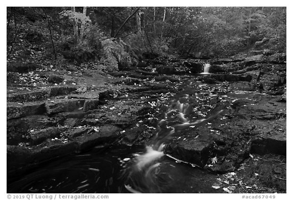 Duck Brook cascades and autumn foliage. Acadia National Park (black and white)