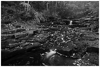 Duck Brook cascades and autumn foliage. Acadia National Park ( black and white)