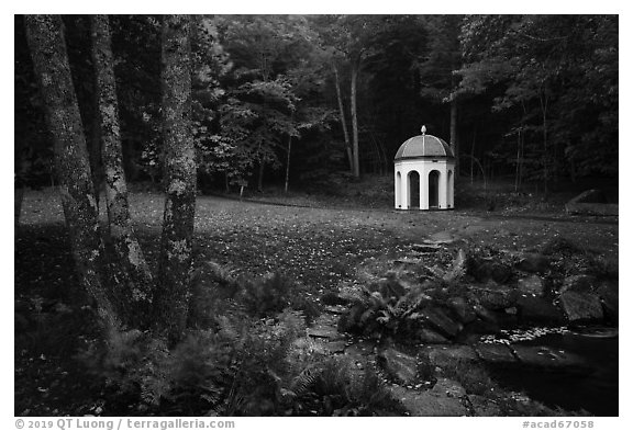 Sieur de Monts pond and springs. Acadia National Park (black and white)