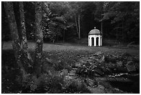 Sieur de Monts pond and springs. Acadia National Park ( black and white)