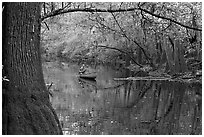 Canoe on Cedar Creek framed by overhanging branch. Congaree National Park, South Carolina, USA. (black and white)