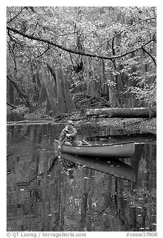 Canoing on Cedar Creek. Congaree National Park (black and white)