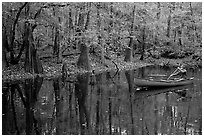 Man paddling a red canoe on Cedar Creek. Congaree National Park, South Carolina, USA. (black and white)