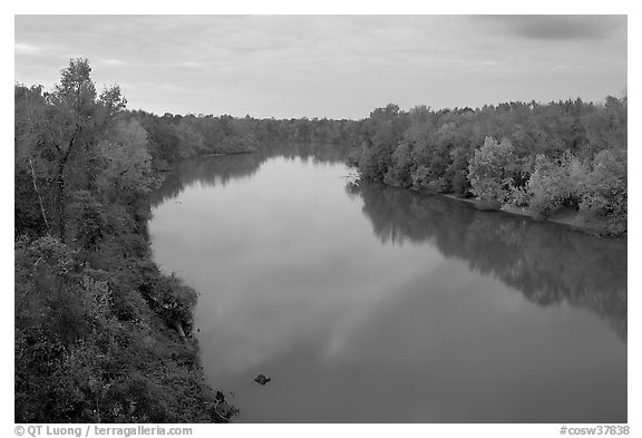 Congaree River at sunset. Congaree National Park (black and white)