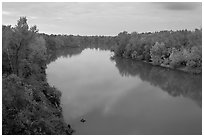 Congaree River at sunset. Congaree National Park ( black and white)