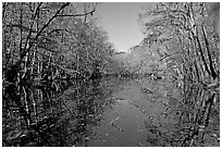 Wise Lake and reflections. Congaree National Park, South Carolina, USA. (black and white)