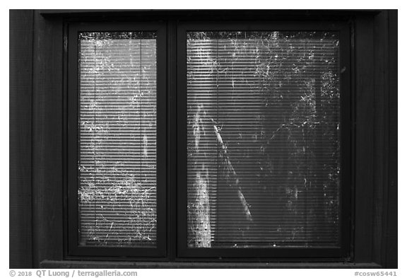 Harry Hampton Visitor Center window reflexion. Congaree National Park (black and white)