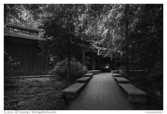 Harry Hampton Visitor Center. Congaree National Park (black and white)
