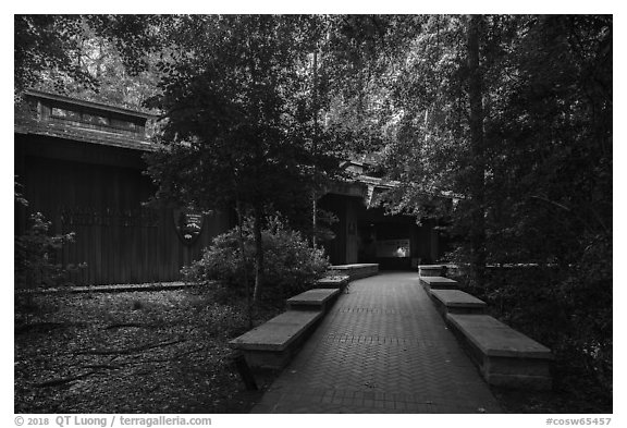 Harry Hampton Visitor Center. Congaree National Park (black and white)