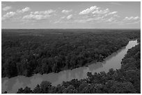 Aerial view of Congaree River. Congaree National Park ( black and white)