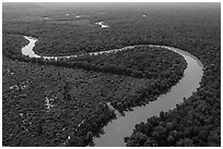 Aerial view of bends of the Congaree River. Congaree National Park ( black and white)