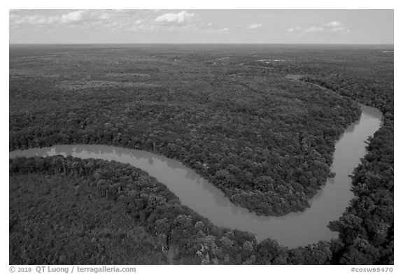 Aerial view of Congaree River bend. Congaree National Park (black and white)