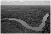 Aerial view of Congaree River bend. Congaree National Park ( black and white)