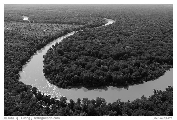 Aerial view of meanders of Congaree River. Congaree National Park (black and white)