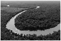 Aerial view of meanders of Congaree River. Congaree National Park ( black and white)