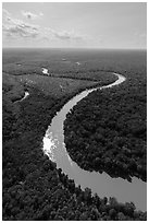 Aerial view of Congaree River with meanders. Congaree National Park ( black and white)