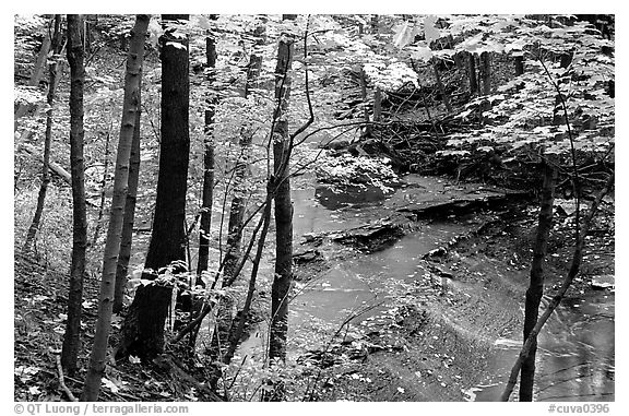 Trees and Brandywine Creek with cascades. Cuyahoga Valley National Park (black and white)